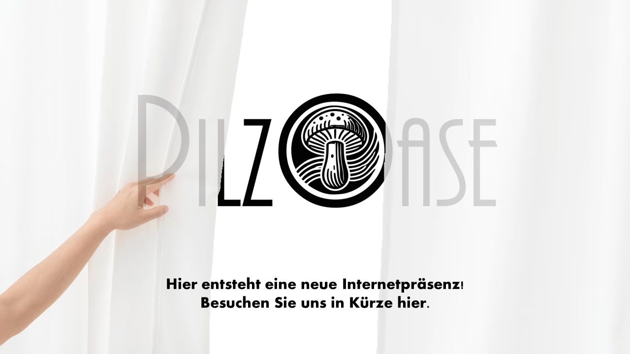 PilzOase - Demnchst hier